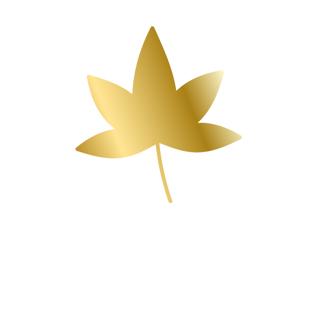 Les nouvelles sylphides